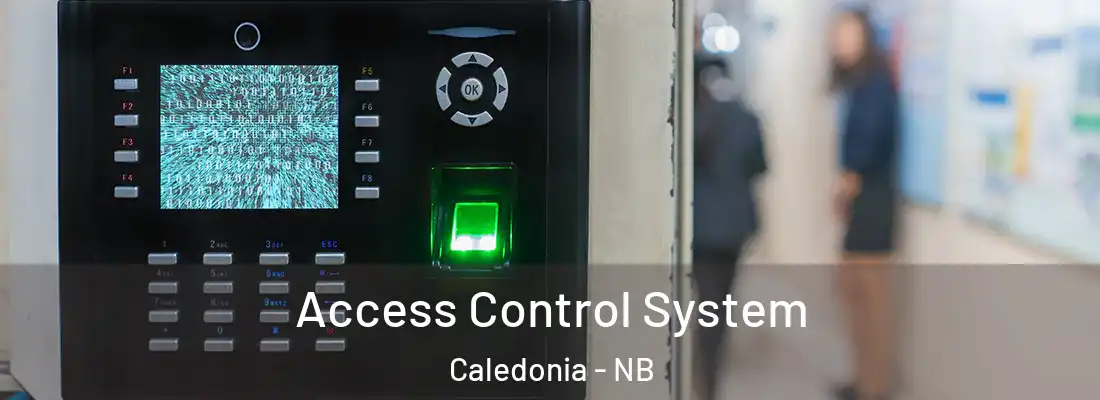  Access Control System Caledonia - NB