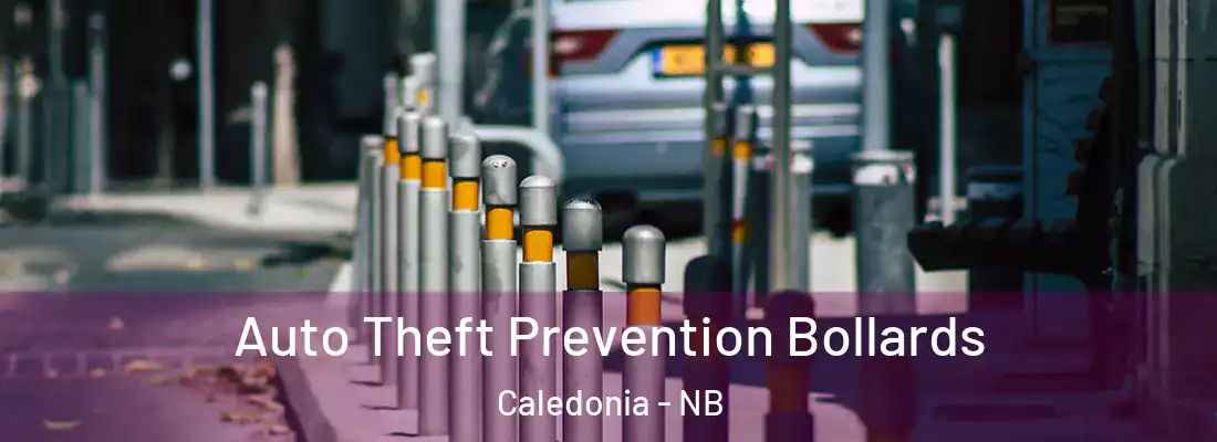  Auto Theft Prevention Bollards Caledonia - NB