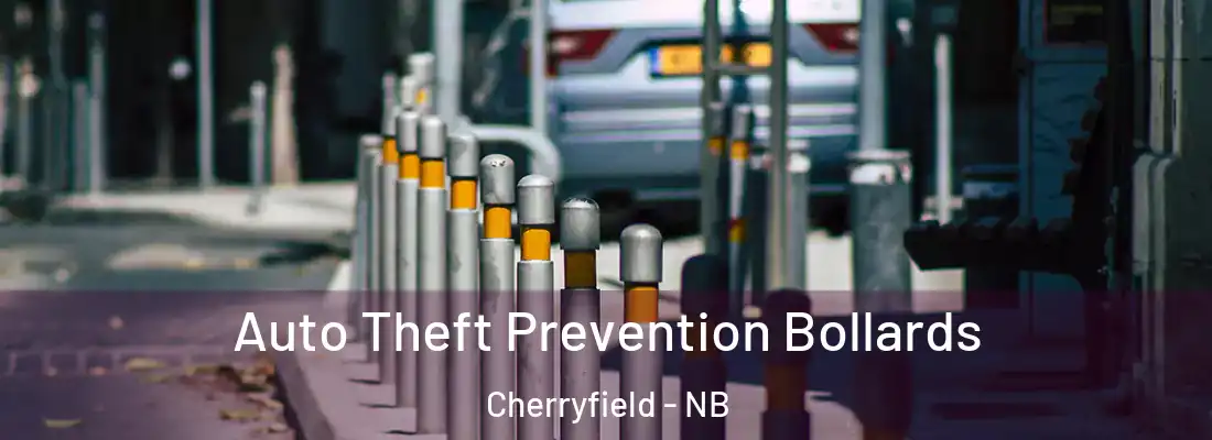  Auto Theft Prevention Bollards Cherryfield - NB