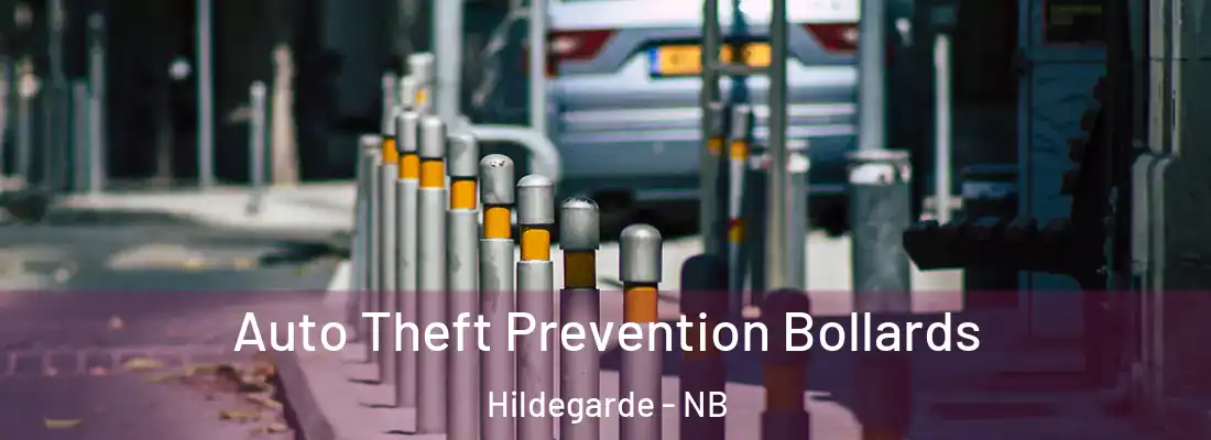  Auto Theft Prevention Bollards Hildegarde - NB