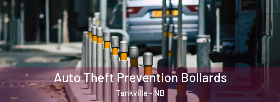  Auto Theft Prevention Bollards Tankville - NB