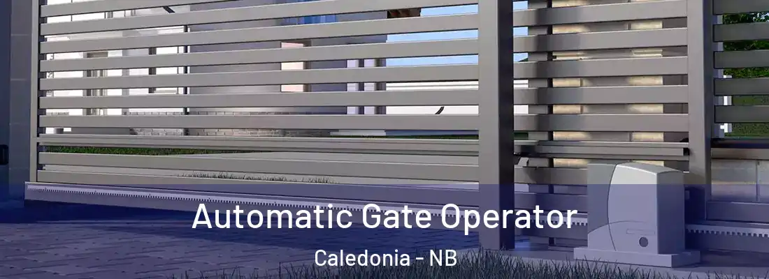  Automatic Gate Operator Caledonia - NB