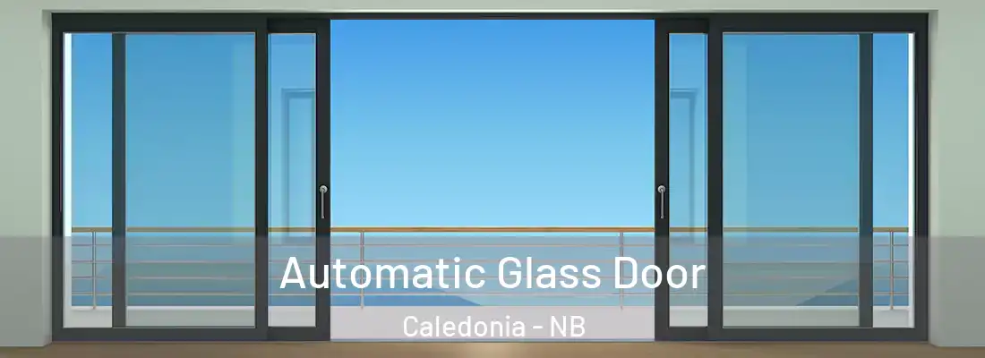  Automatic Glass Door Caledonia - NB