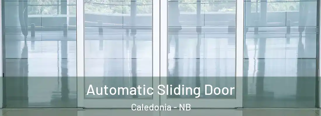 Automatic Sliding Door Caledonia - NB