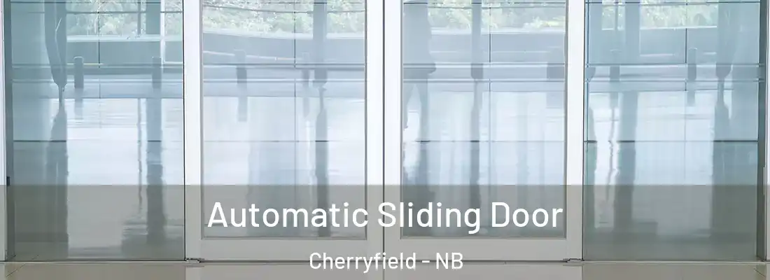  Automatic Sliding Door Cherryfield - NB