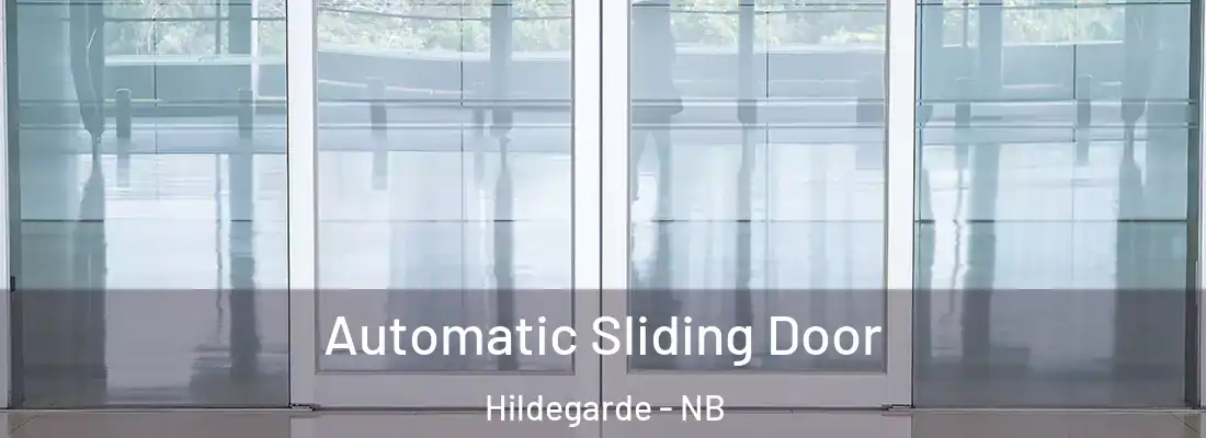  Automatic Sliding Door Hildegarde - NB