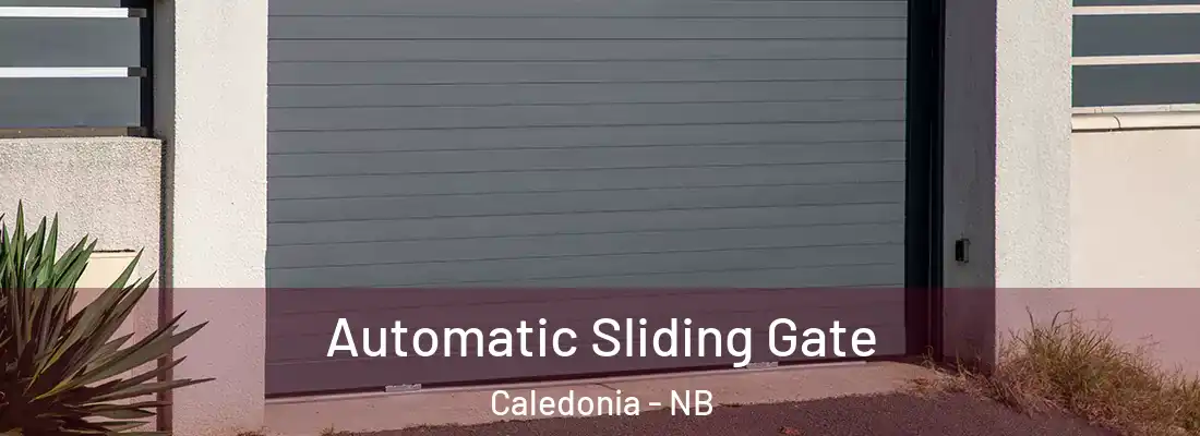  Automatic Sliding Gate Caledonia - NB