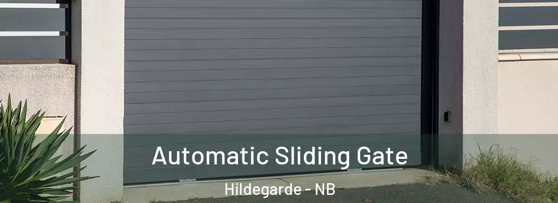  Automatic Sliding Gate Hildegarde - NB