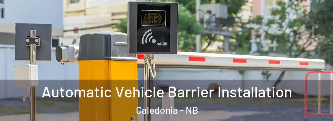  Automatic Vehicle Barrier Installation Caledonia - NB