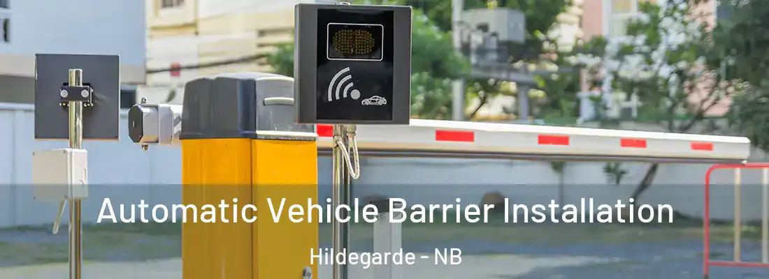  Automatic Vehicle Barrier Installation Hildegarde - NB