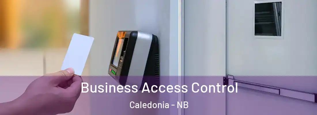  Business Access Control Caledonia - NB