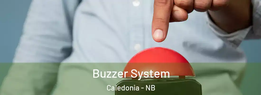  Buzzer System Caledonia - NB