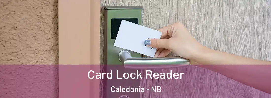  Card Lock Reader Caledonia - NB