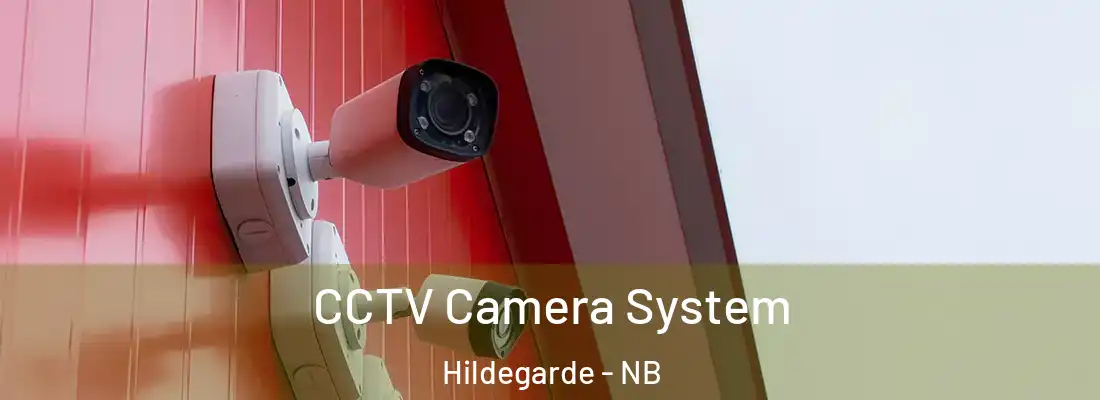  CCTV Camera System Hildegarde - NB