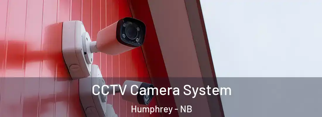  CCTV Camera System Humphrey - NB
