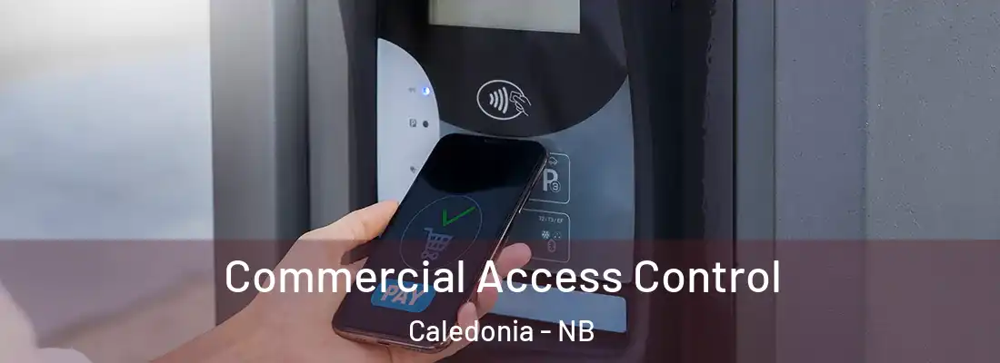  Commercial Access Control Caledonia - NB