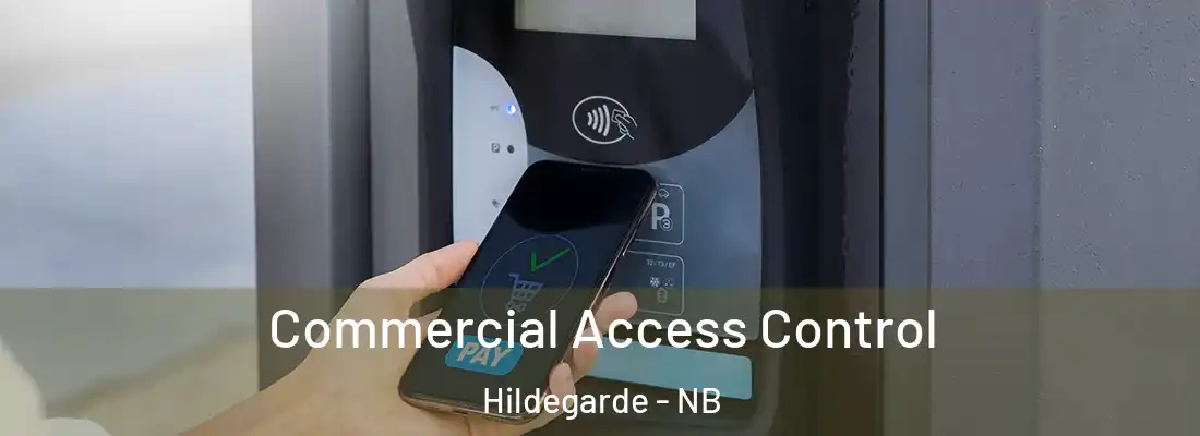  Commercial Access Control Hildegarde - NB