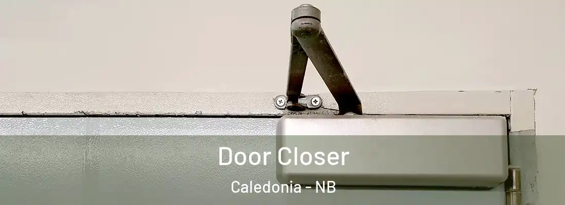  Door Closer Caledonia - NB