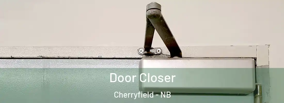  Door Closer Cherryfield - NB