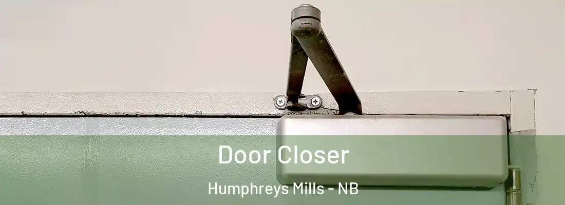  Door Closer Humphreys Mills - NB
