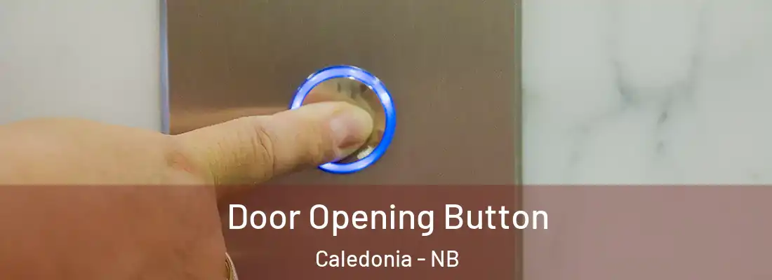  Door Opening Button Caledonia - NB