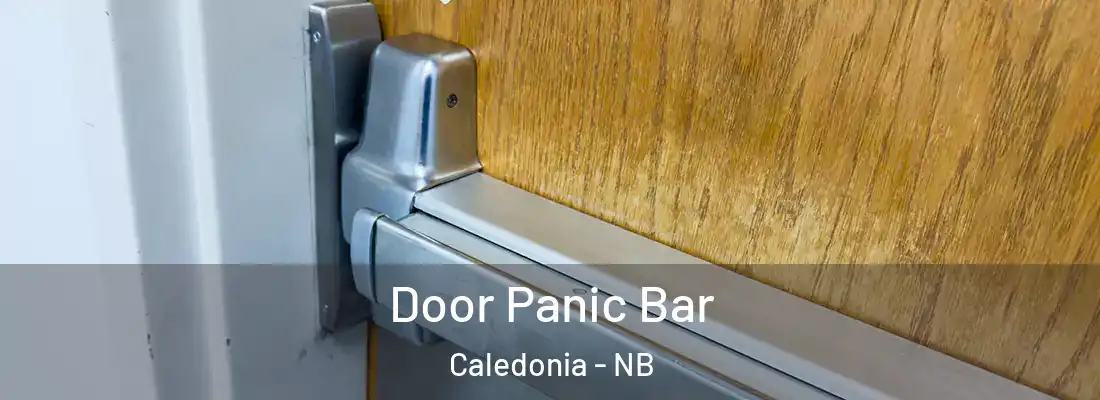  Door Panic Bar Caledonia - NB