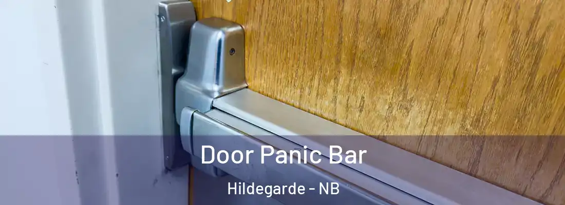  Door Panic Bar Hildegarde - NB