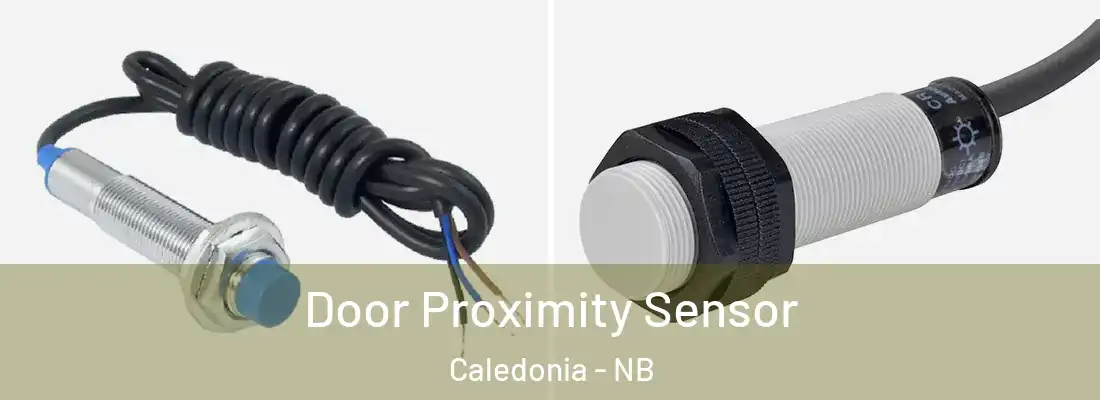  Door Proximity Sensor Caledonia - NB