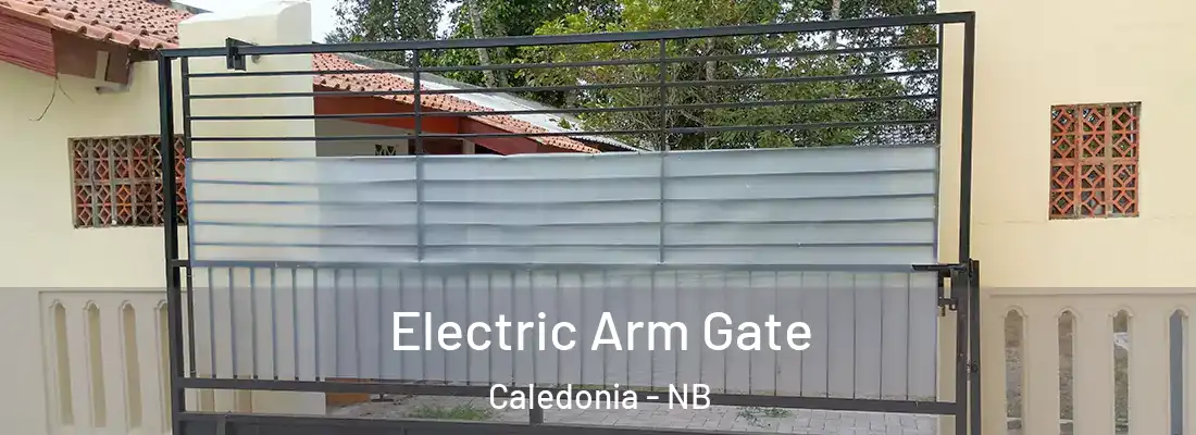  Electric Arm Gate Caledonia - NB