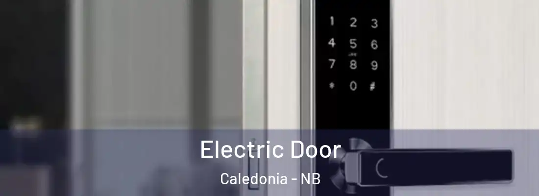  Electric Door Caledonia - NB