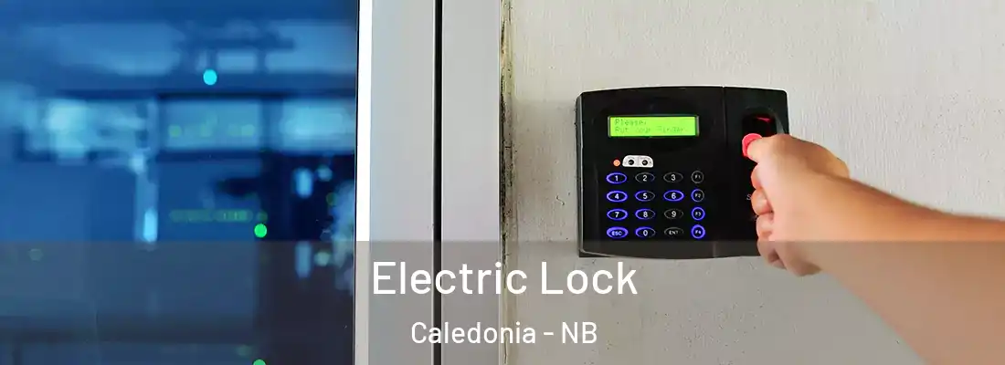  Electric Lock Caledonia - NB