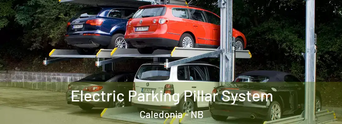  Electric Parking Pillar System Caledonia - NB
