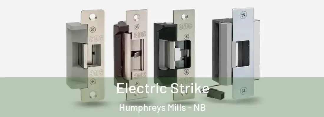  Electric Strike Humphreys Mills - NB