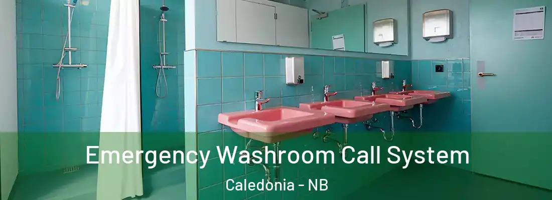  Emergency Washroom Call System Caledonia - NB