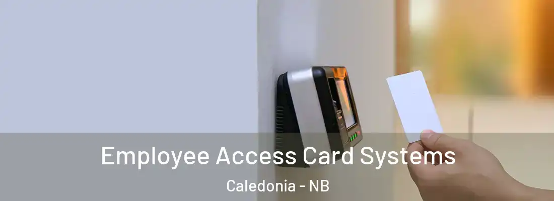  Employee Access Card Systems Caledonia - NB