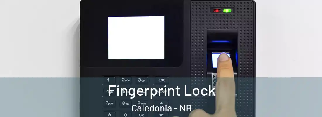  Fingerprint Lock Caledonia - NB
