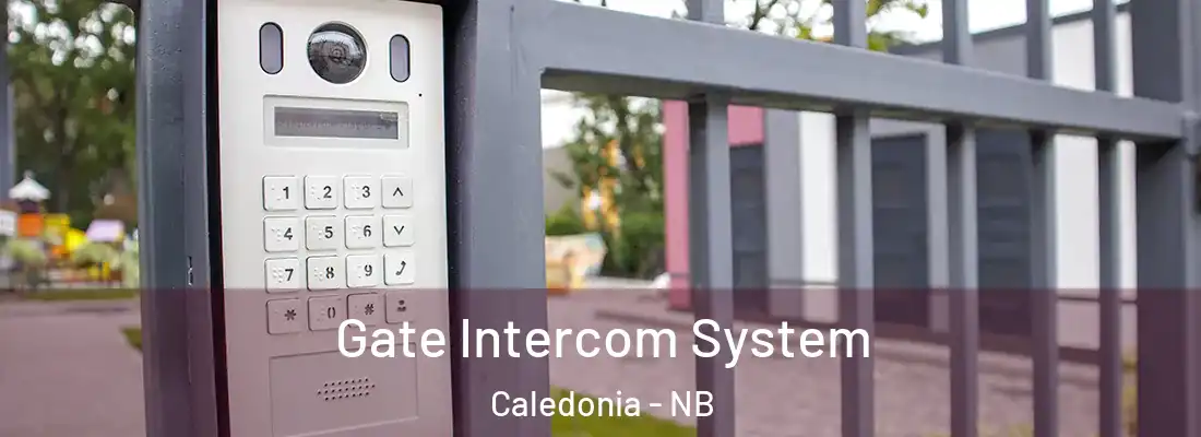  Gate Intercom System Caledonia - NB