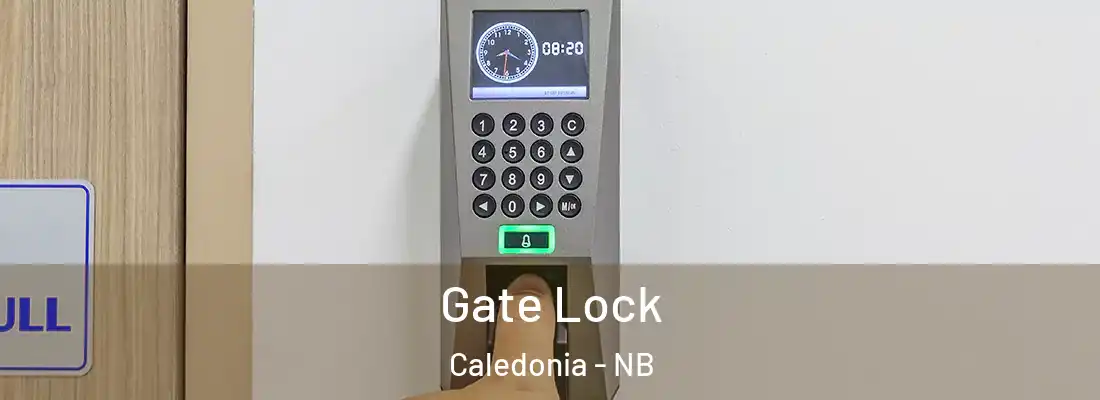  Gate Lock Caledonia - NB