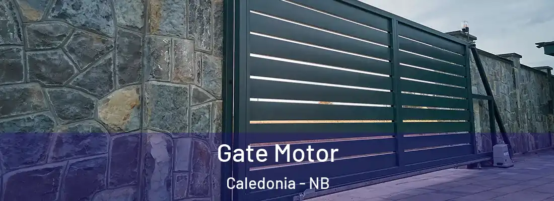  Gate Motor Caledonia - NB