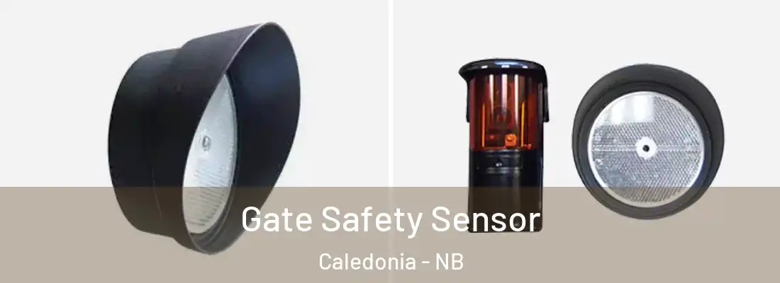  Gate Safety Sensor Caledonia - NB