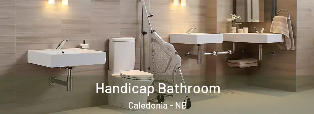  Handicap Bathroom Caledonia - NB