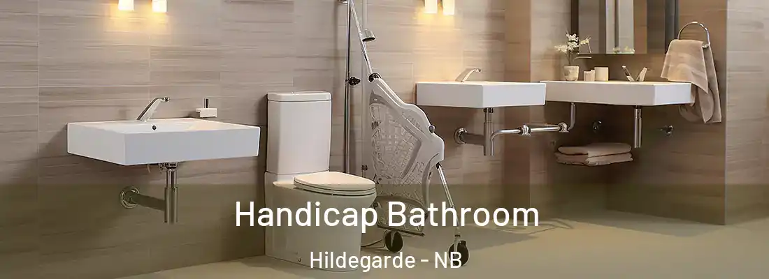  Handicap Bathroom Hildegarde - NB
