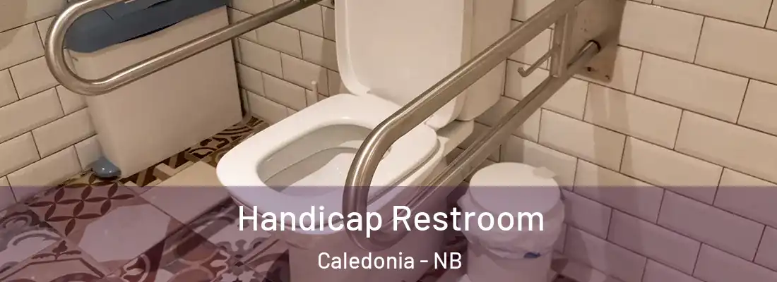  Handicap Restroom Caledonia - NB