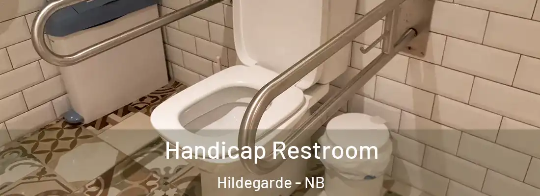  Handicap Restroom Hildegarde - NB