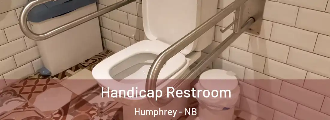  Handicap Restroom Humphrey - NB