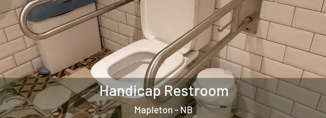 Handicap Restroom Mapleton - NB