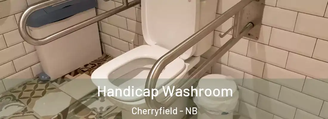  Handicap Washroom Cherryfield - NB