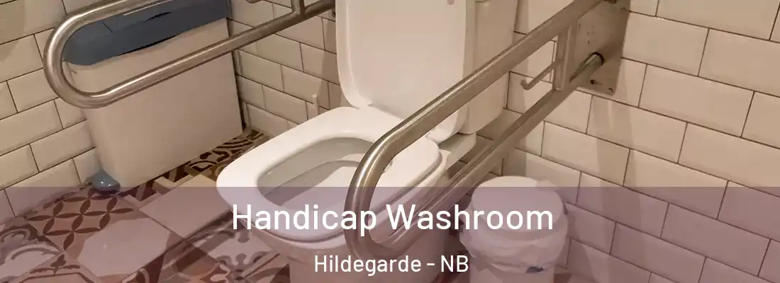  Handicap Washroom Hildegarde - NB