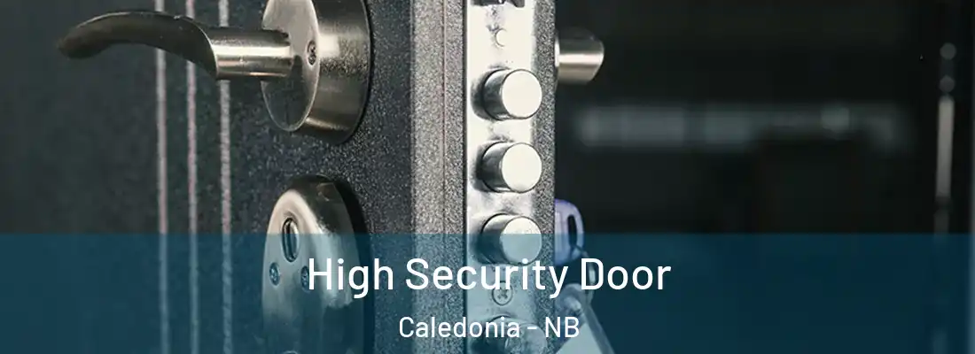  High Security Door Caledonia - NB