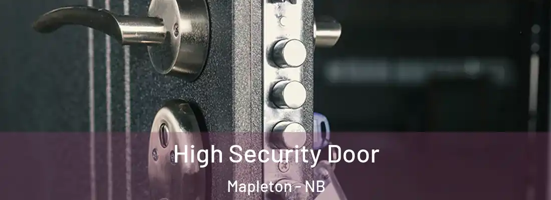  High Security Door Mapleton - NB